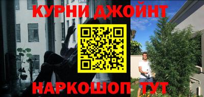гидра Гусев