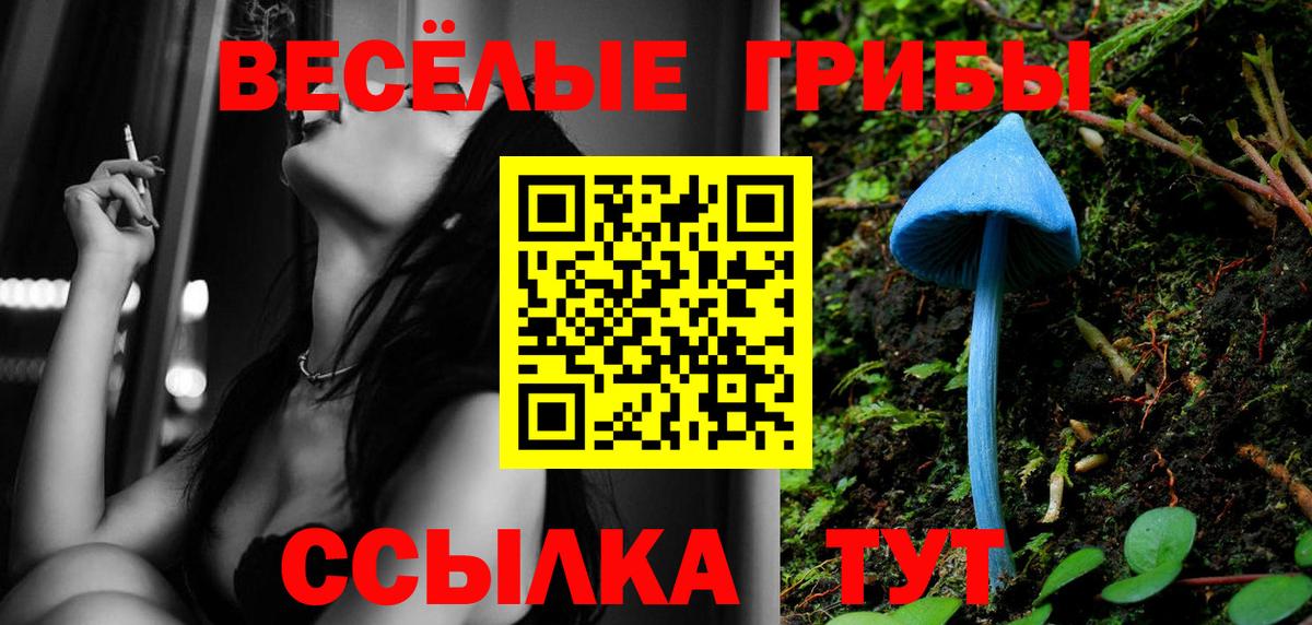 Нефтекамск  Галлюциногенные грибы мухоморы  Вход с VPN 